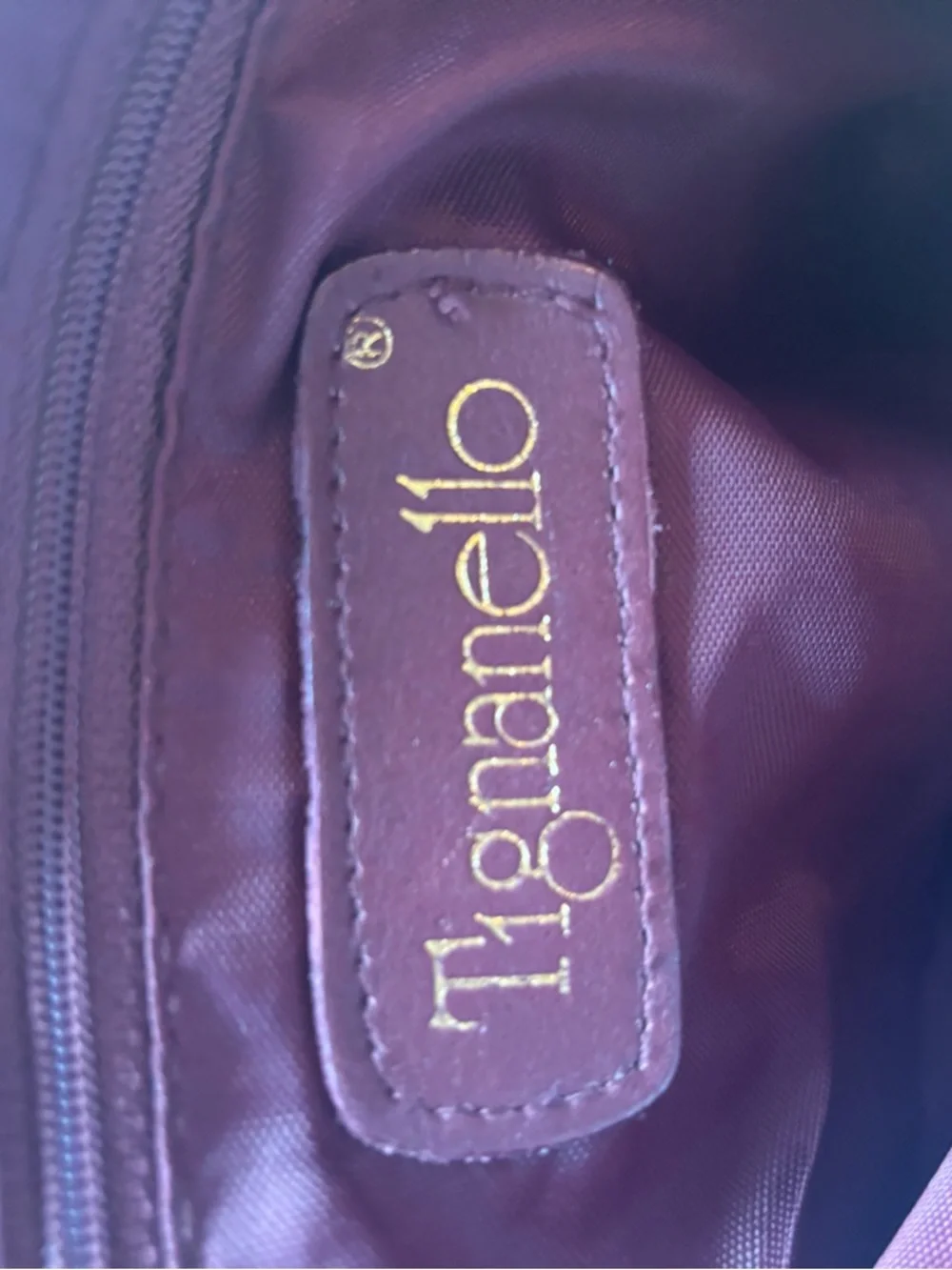 Tiganello Smooth Leather Backpack in Dark Brown with Gold Accent